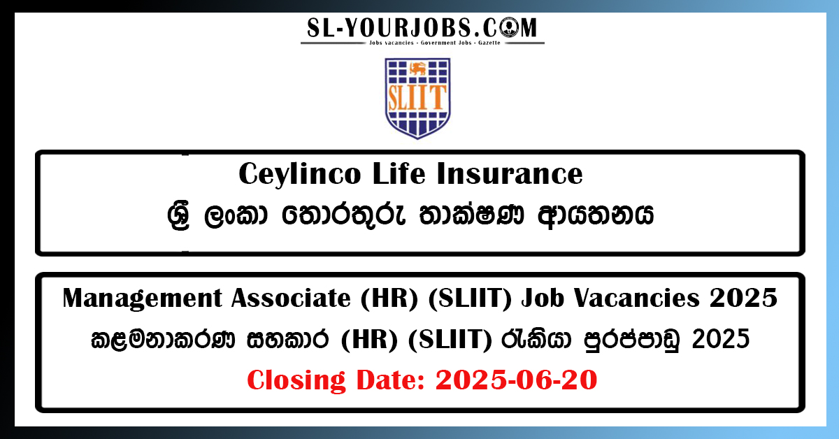Sri Lanka Institute of Information Technology - Management Associate (HR) (SLIIT) Job Vacancies 2025
